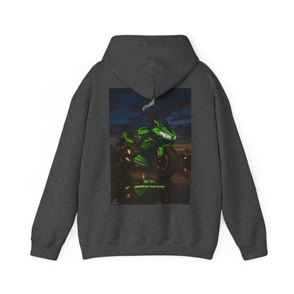 Zx6r Motorcycle Adventure Unisex Hoodie: Perfect for Riders, Bikers, Travel, Birthday Gift, Casual Wear